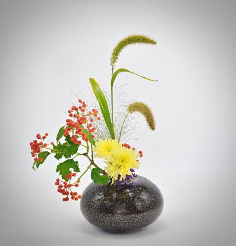 Jiyuka-Spätsommer-EF-08.25 Uwe Jacob