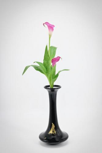 Shoka-Isshuike-Calla-jap.-Orandakaio-EF-08.25 Uwe Jacob